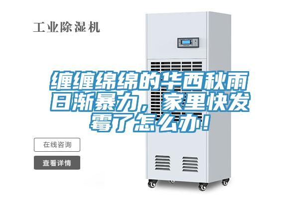 纏纏綿綿的華西秋雨日漸暴力，家里快發(fā)霉了怎么辦！
