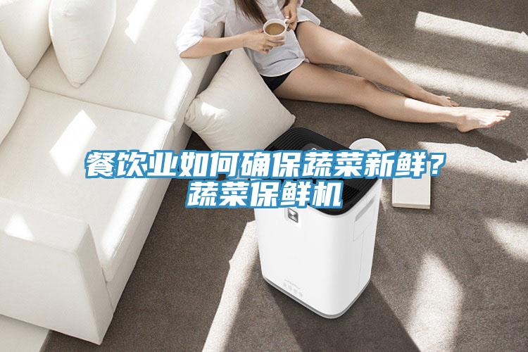 餐飲業(yè)如何確保蔬菜新鮮？蔬菜保鮮機