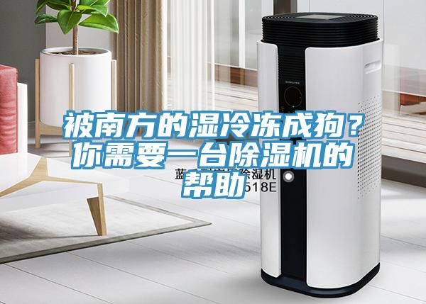 被南方的濕冷凍成狗？你需要一臺除濕機的幫助