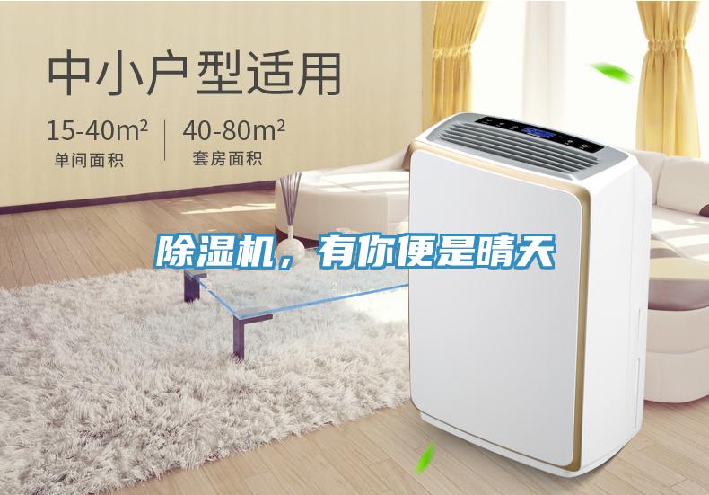 除濕機(jī)，有你便是晴天