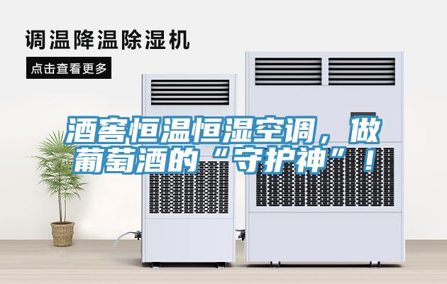 酒窖恒溫恒濕空調(diào)，做葡萄酒的“守護(hù)神”！