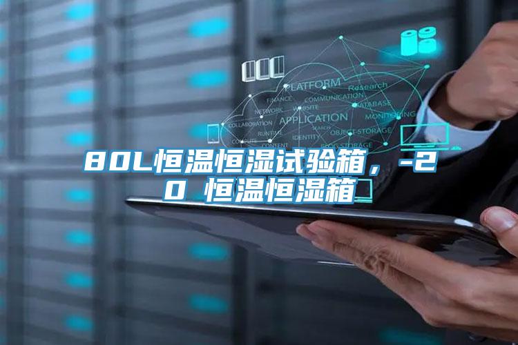 80L恒溫恒濕試驗(yàn)箱，-20℃恒溫恒濕箱