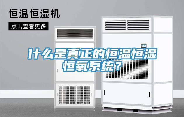 什么是真正的恒溫恒濕恒氧系統(tǒng)？