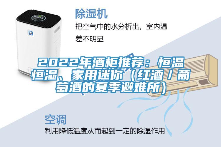 2022年酒柜推薦：恒溫恒濕、家用迷你（紅酒／葡萄酒的夏季避難所）