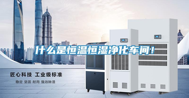 什么是恒溫恒濕凈化車間！