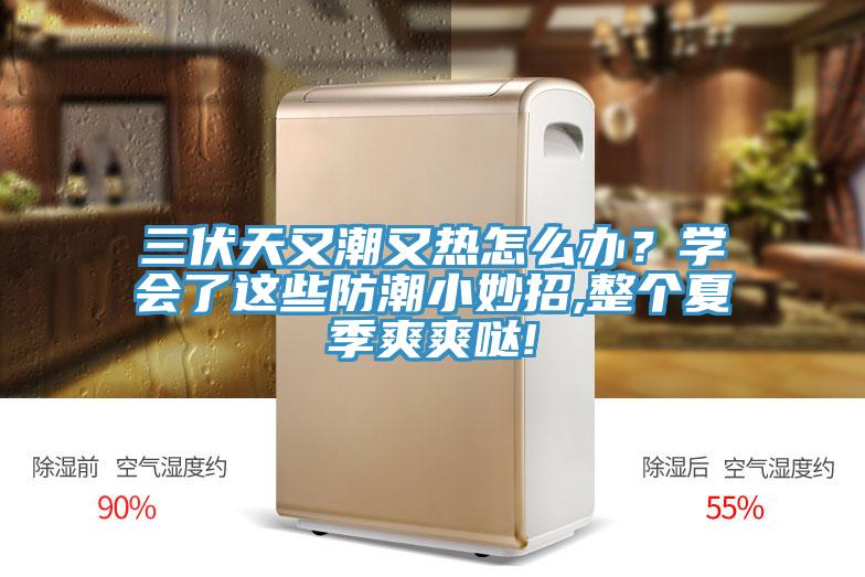 三伏天又潮又熱怎么辦？學(xué)會(huì)了這些防潮小妙招,整個(gè)夏季爽爽噠!