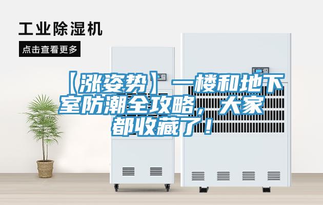 【漲姿勢】一樓和地下室防潮全攻略，大家都收藏了！