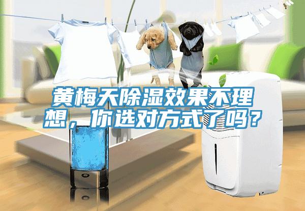 黃梅天除濕效果不理想，你選對(duì)方式了嗎？