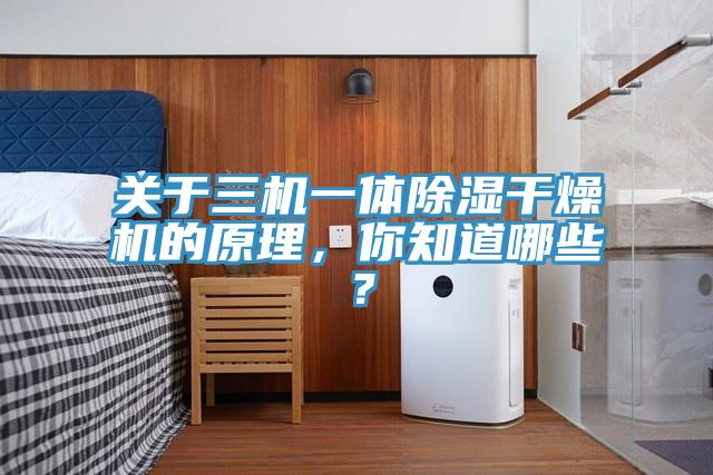 關(guān)于三機(jī)一體除濕干燥機(jī)的原理，你知道哪些？
