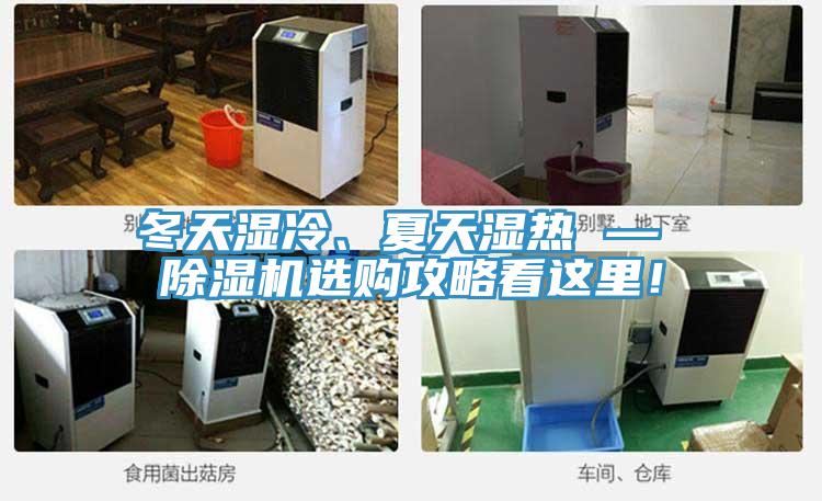 冬天濕冷、夏天濕熱 — 除濕機選購攻略看這里！