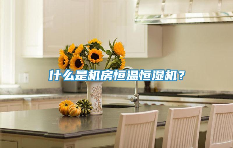 什么是機房恒溫恒濕機？