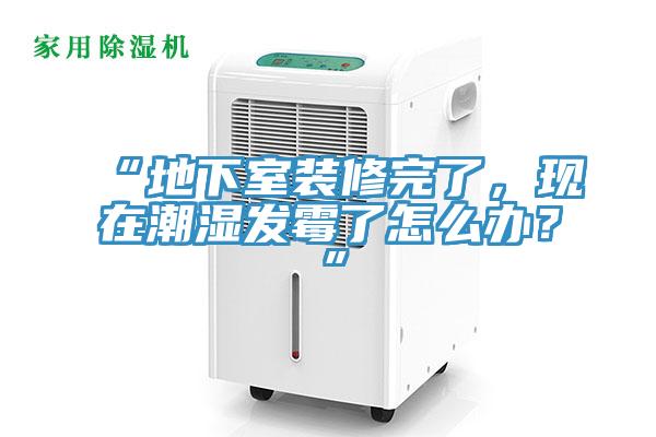 “地下室裝修完了，現(xiàn)在潮濕發(fā)霉了怎么辦？”