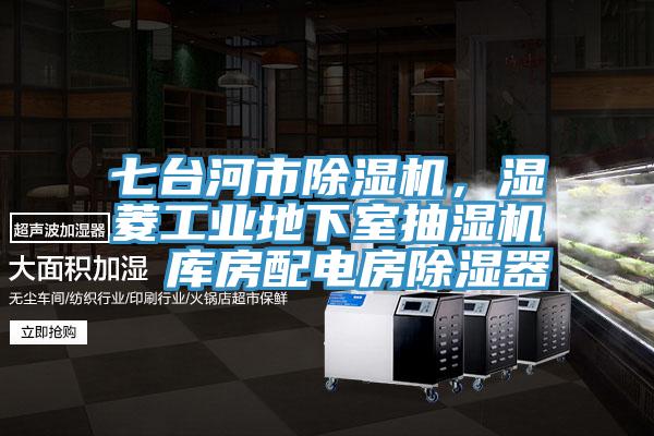 七臺(tái)河市除濕機(jī)，濕菱工業(yè)地下室抽濕機(jī)  庫房配電房除濕器