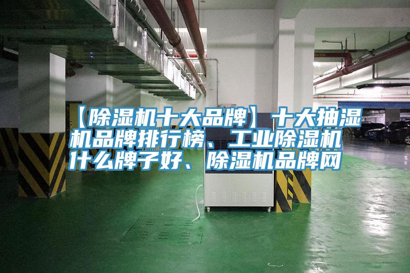 【除濕機(jī)十大品牌】十大抽濕機(jī)品牌排行榜、工業(yè)除濕機(jī)什么牌子好、除濕機(jī)品牌網(wǎng)