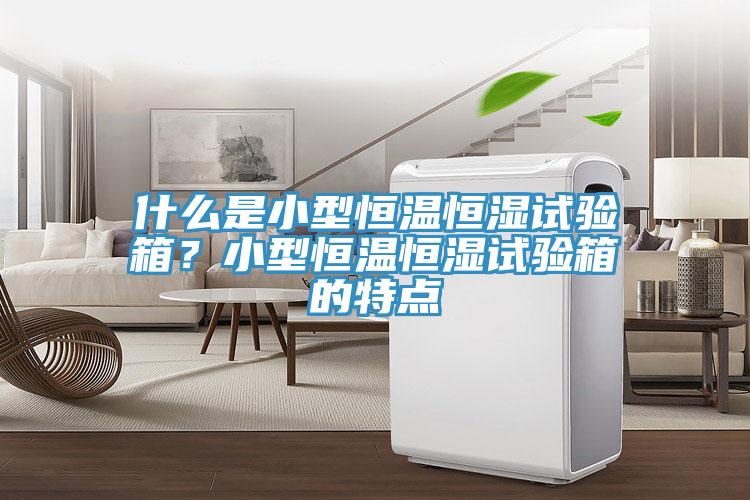 什么是小型恒溫恒濕試驗(yàn)箱？小型恒溫恒濕試驗(yàn)箱的特點(diǎn)