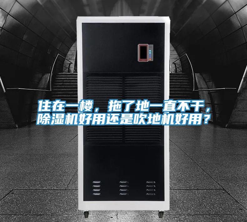 住在一樓，拖了地一直不干，除濕機(jī)好用還是吹地機(jī)好用？