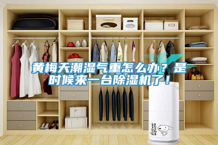 黃梅天潮濕氣重怎么辦？是時(shí)候來一臺(tái)除濕機(jī)了！
