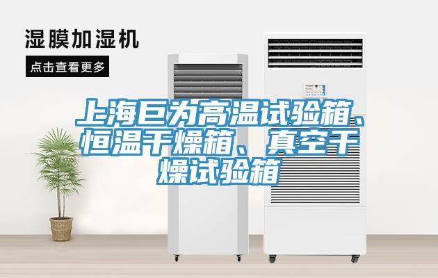 上海巨為高溫試驗(yàn)箱、恒溫干燥箱、真空干燥試驗(yàn)箱