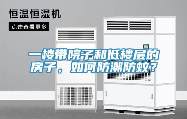 一樓帶院子和低樓層的房子，如何防潮防蚊？