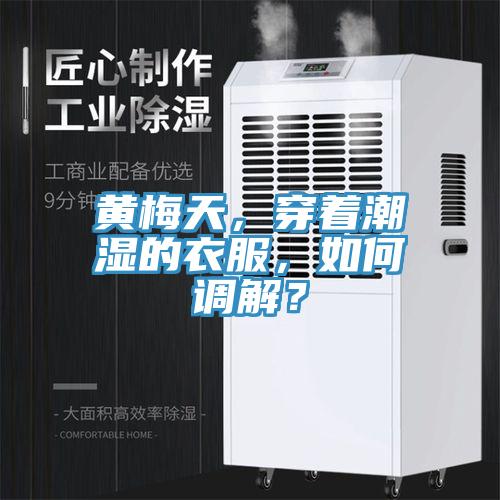 黃梅天，穿著潮濕的衣服，如何調(diào)解？