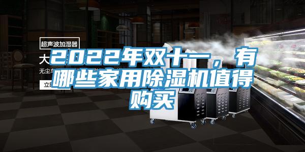 2022年雙十一，有哪些家用除濕機值得購買
