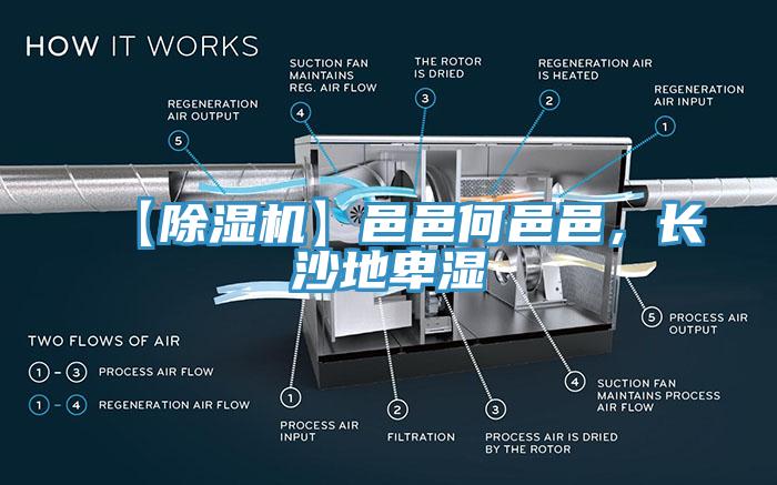 【除濕機】邑邑何邑邑，長沙地卑濕