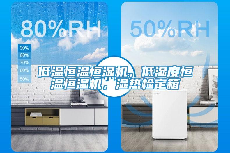 低溫恒溫恒濕機(jī)，低濕度恒溫恒濕機(jī)，濕熱檢定箱