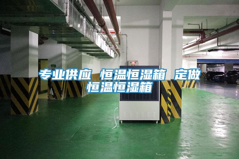 專業(yè)供應 恒溫恒濕箱 定做恒溫恒濕箱