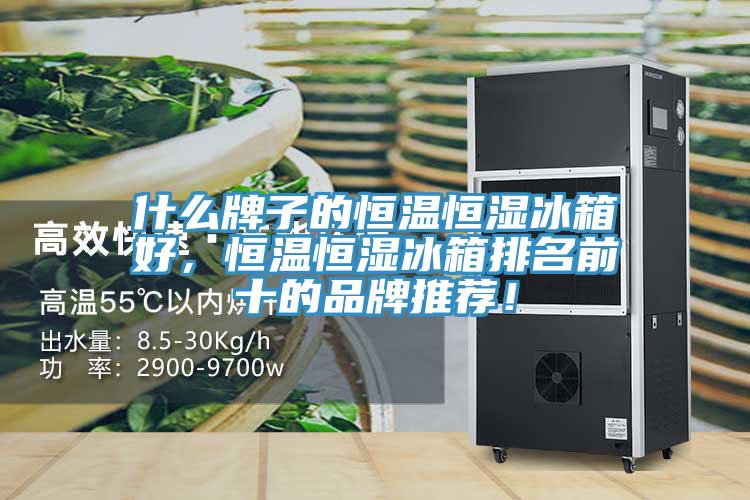 什么牌子的恒溫恒濕冰箱好，恒溫恒濕冰箱排名前十的品牌推薦！