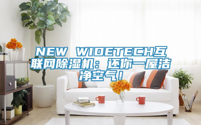 NEW WIDETECH互聯(lián)網(wǎng)除濕機(jī)：還你一屋潔凈空氣！