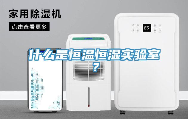什么是恒溫恒濕實(shí)驗(yàn)室？