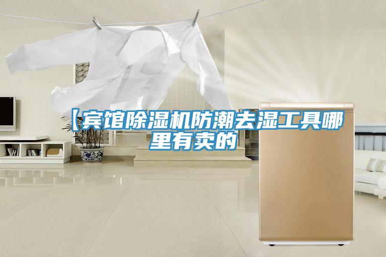 【賓館除濕機(jī)防潮去濕工具哪里有賣(mài)的
