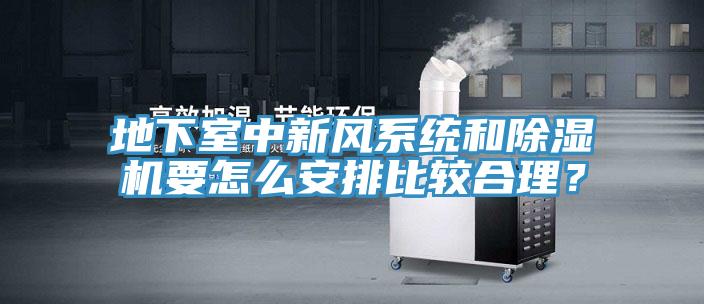 地下室中新風(fēng)系統(tǒng)和除濕機(jī)要怎么安排比較合理？