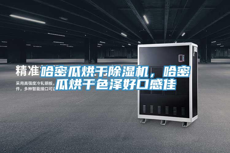 哈密瓜烘干除濕機(jī)，哈密瓜烘干色澤好口感佳