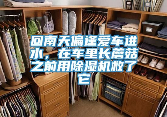 回南天偏逢愛車進水，在車里長蘑菇之前用除濕機救了它