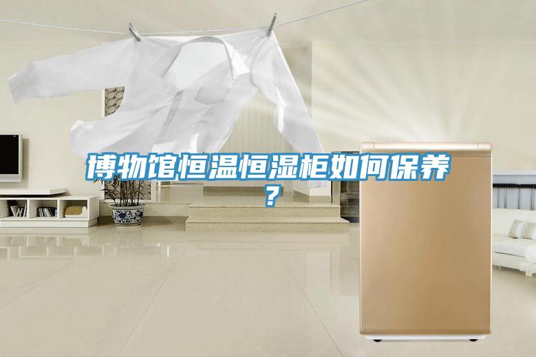博物館恒溫恒濕柜如何保養(yǎng)？