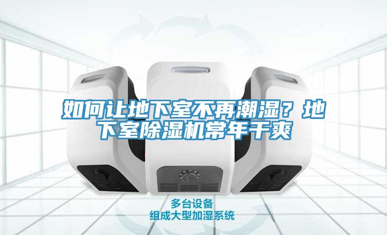 如何讓地下室不再潮濕？地下室除濕機常年干爽