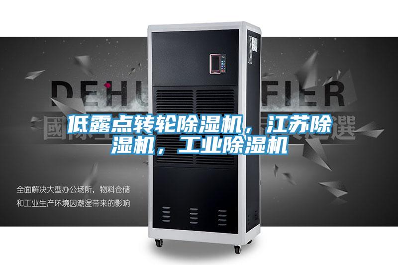 低露點轉(zhuǎn)輪除濕機，江蘇除濕機，工業(yè)除濕機