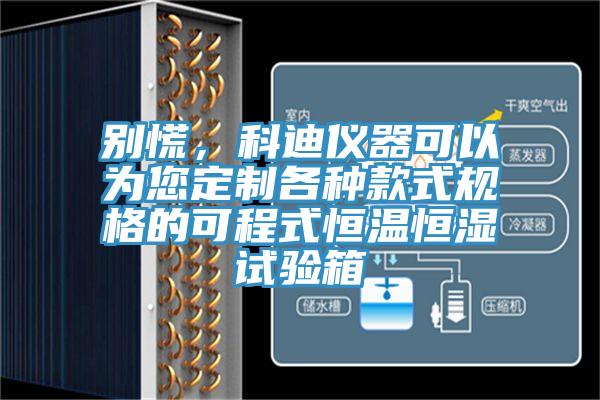 別慌，科迪儀器可以為您定制各種款式規(guī)格的可程式恒溫恒濕試驗箱