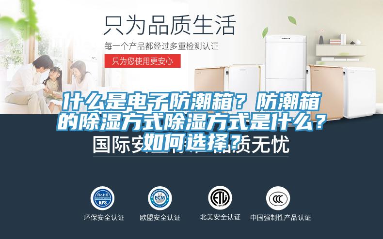 什么是電子防潮箱？防潮箱的除濕方式除濕方式是什么？如何選擇？