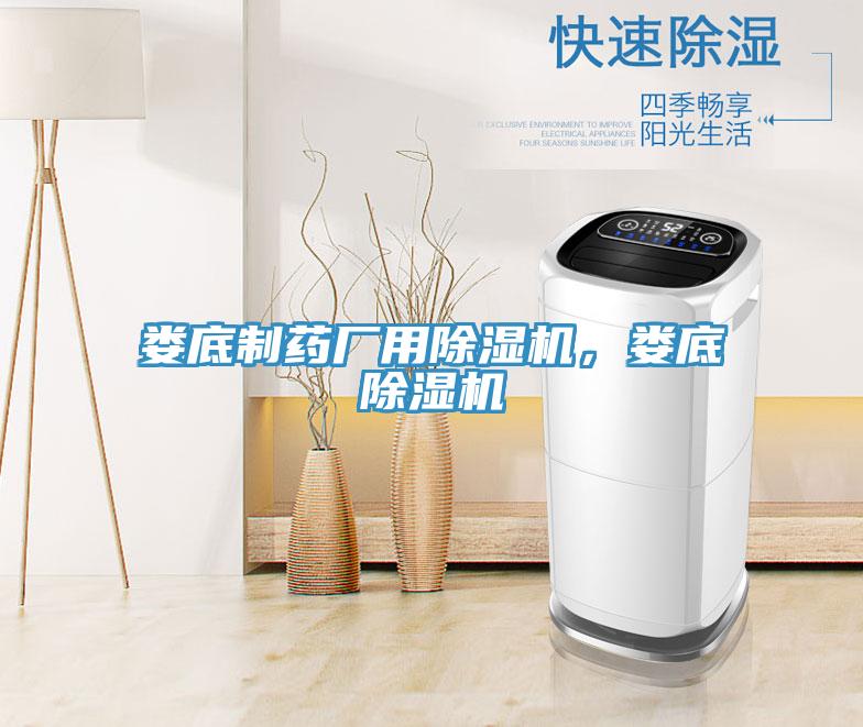 婁底制藥廠用除濕機(jī)，婁底除濕機(jī)