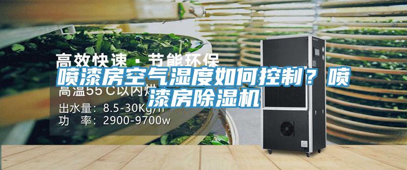 噴漆房空氣濕度如何控制？噴漆房除濕機