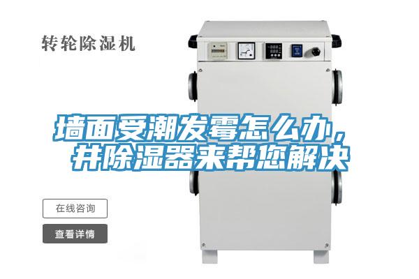 墻面受潮發(fā)霉怎么辦，東井除濕器來幫您解決