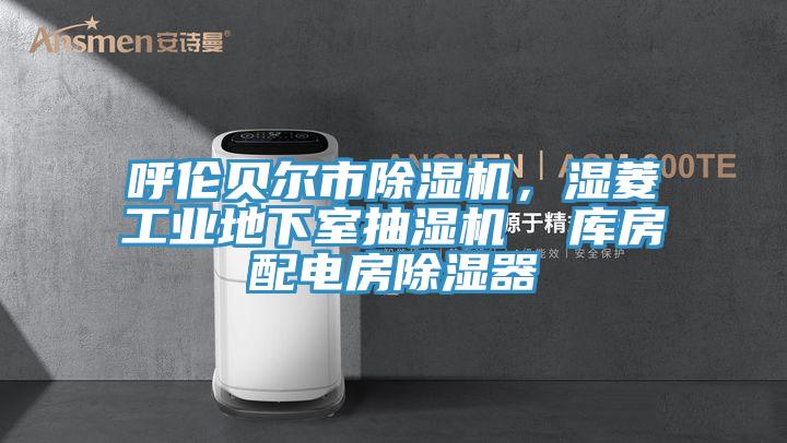 呼倫貝爾市除濕機(jī)，濕菱工業(yè)地下室抽濕機(jī)  庫(kù)房配電房除濕器