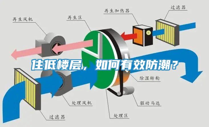 住低樓層，如何有效防潮？