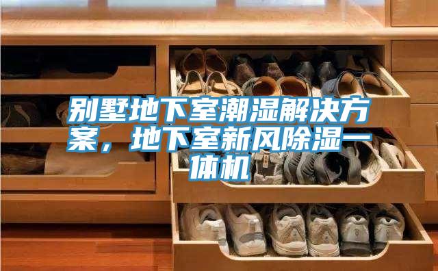 別墅地下室潮濕解決方案，地下室新風(fēng)除濕一體機