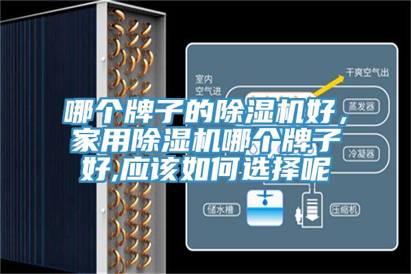 哪個牌子的除濕機好，家用除濕機哪個牌子好,應該如何選擇呢