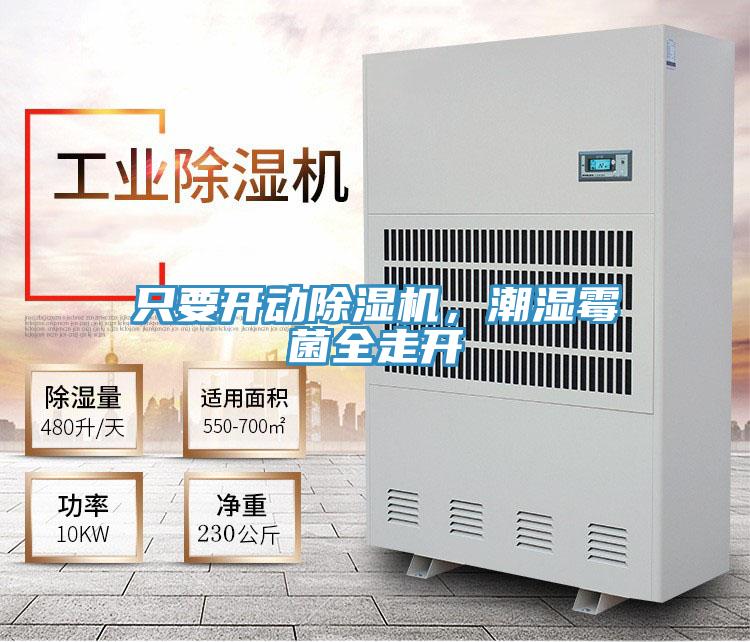 只要開動除濕機(jī)，潮濕霉菌全走開