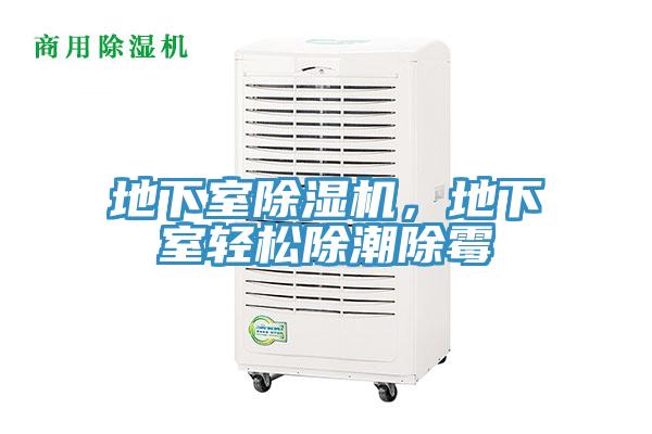 地下室除濕機(jī)，地下室輕松除潮除霉