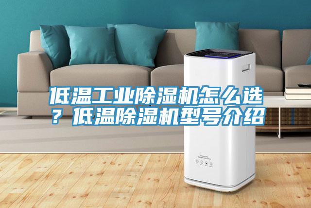 低溫工業(yè)除濕機怎么選？低溫除濕機型號介紹